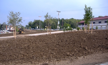 Gallery: Ice House Park