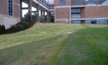 Gallery: Mercyhurst College