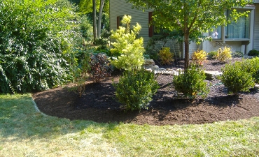 Jones Residence_10